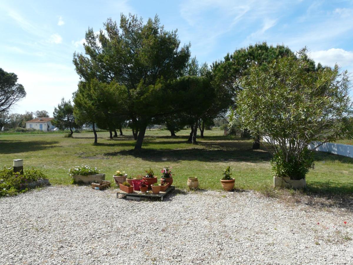 Mas Du Clos De La Barque Saintes-Maries-de-la-Mer Exterior photo